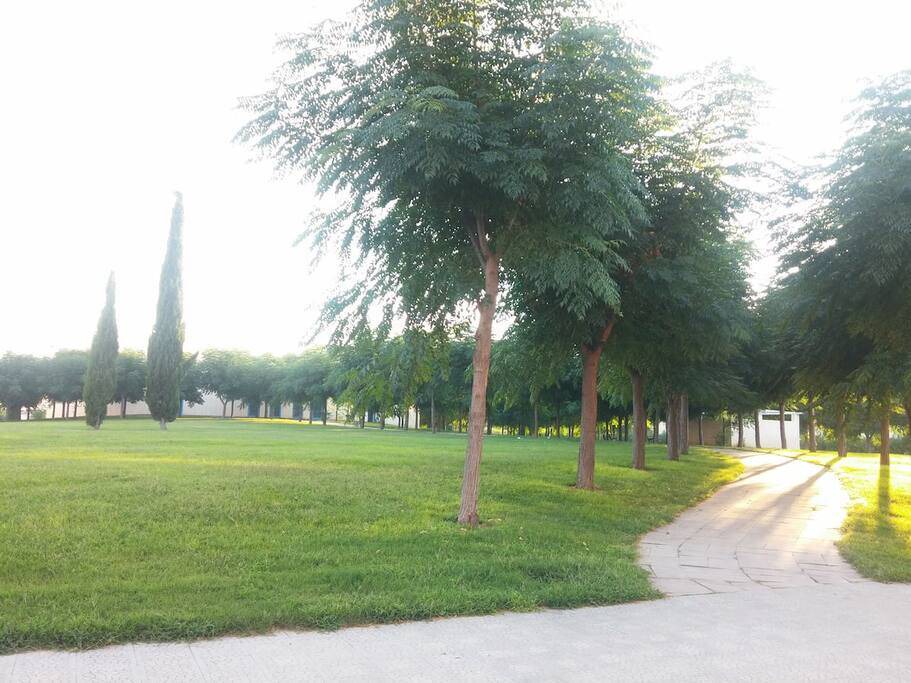 Photo of Others in Marina di Pisticci