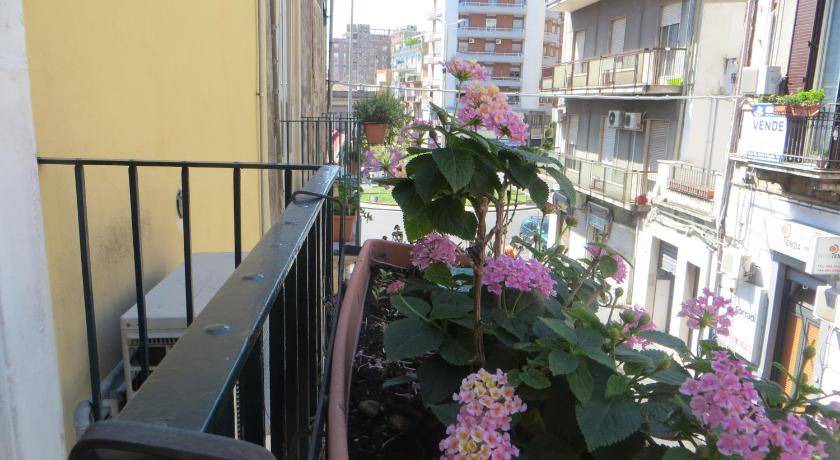 Photo of Others in Picanello-Ognina-Barriera-Canalicchio