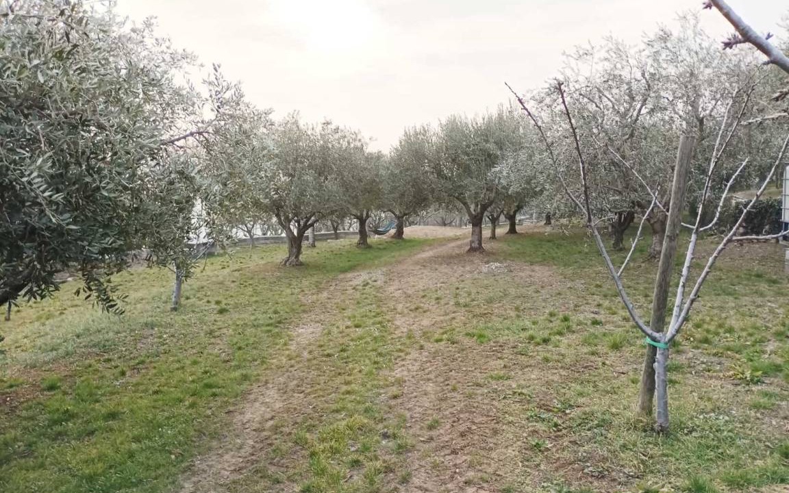 Photo of Others in Sant'Ambrogio di Valpolicella