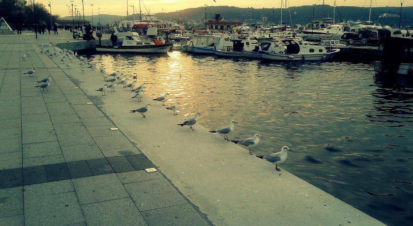 Photo of Others in Canakkale