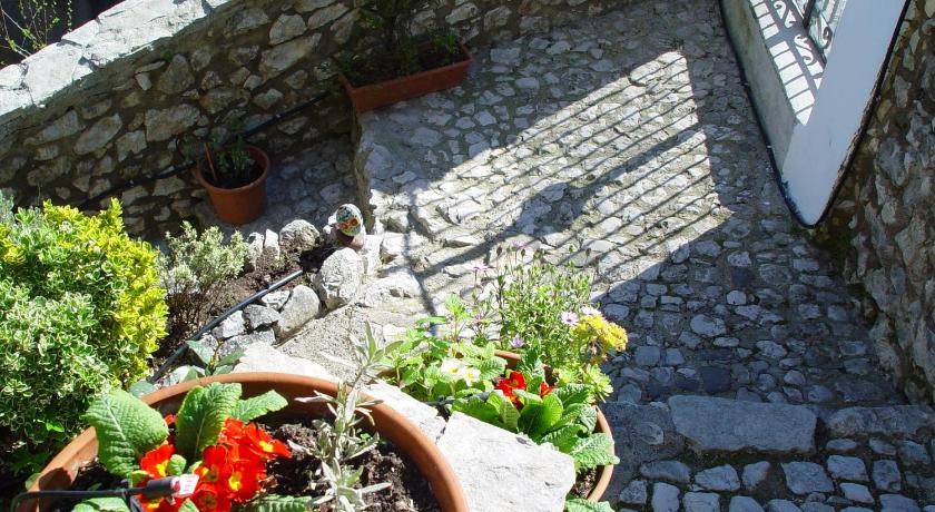 Photo of Others in Artena