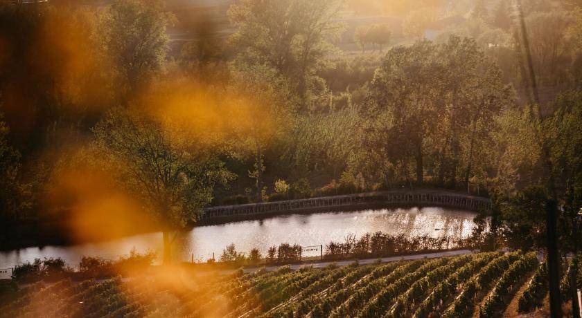 Photo of Others in Nizza Monferrato
