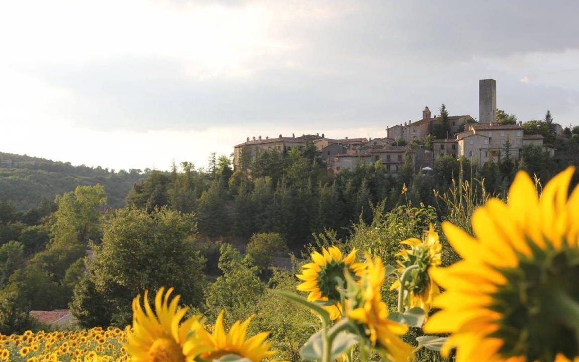Photo of Others in San Venanzo