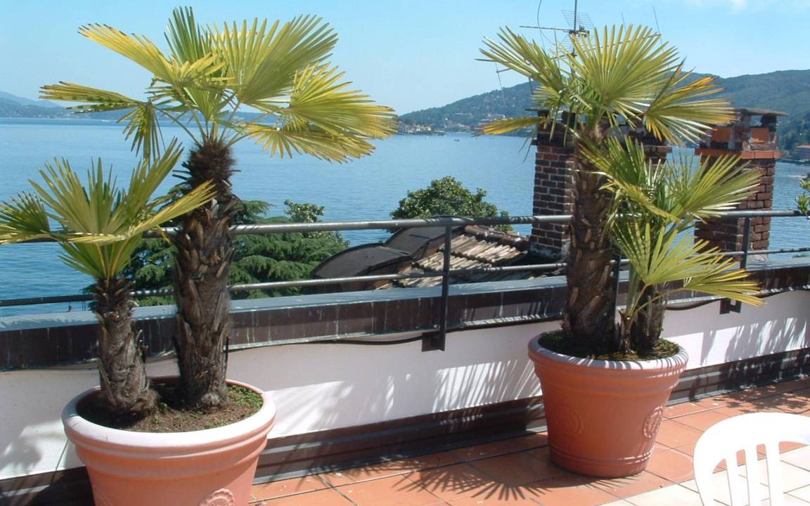 Photo of Others in Baveno