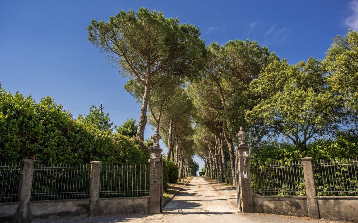 Photo of Others in Pieve a Nievole