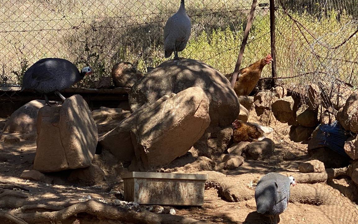 Photo of Others in Villaviciosa de Cordoba