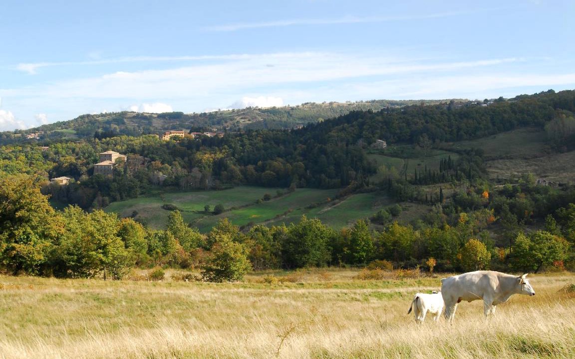 Photo of Others in Vivo dʼOrcia