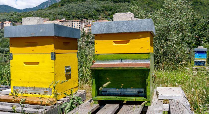 Photo of Others in Castelbianco