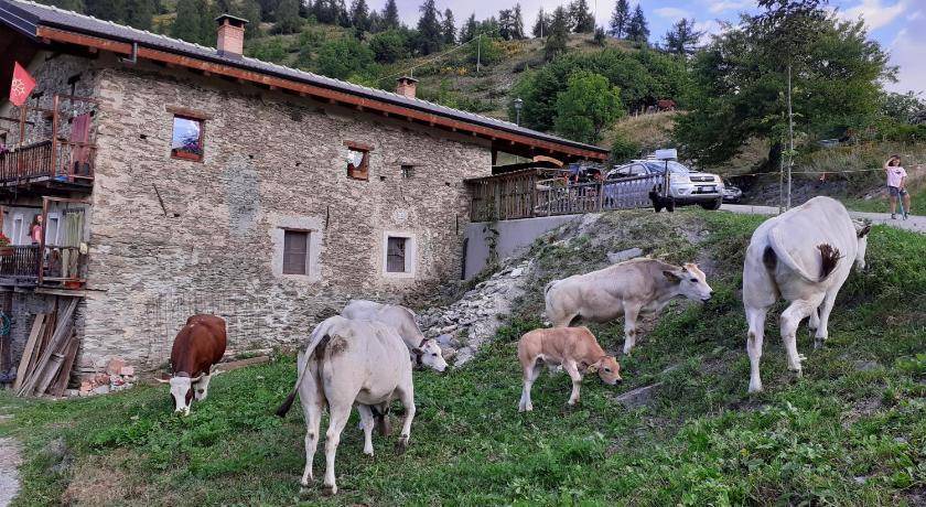 Photo of Others in Canosio