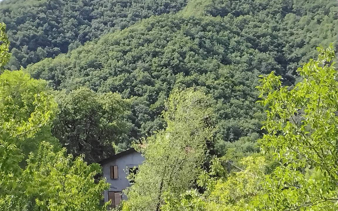 Photo of Others in Marzabotto