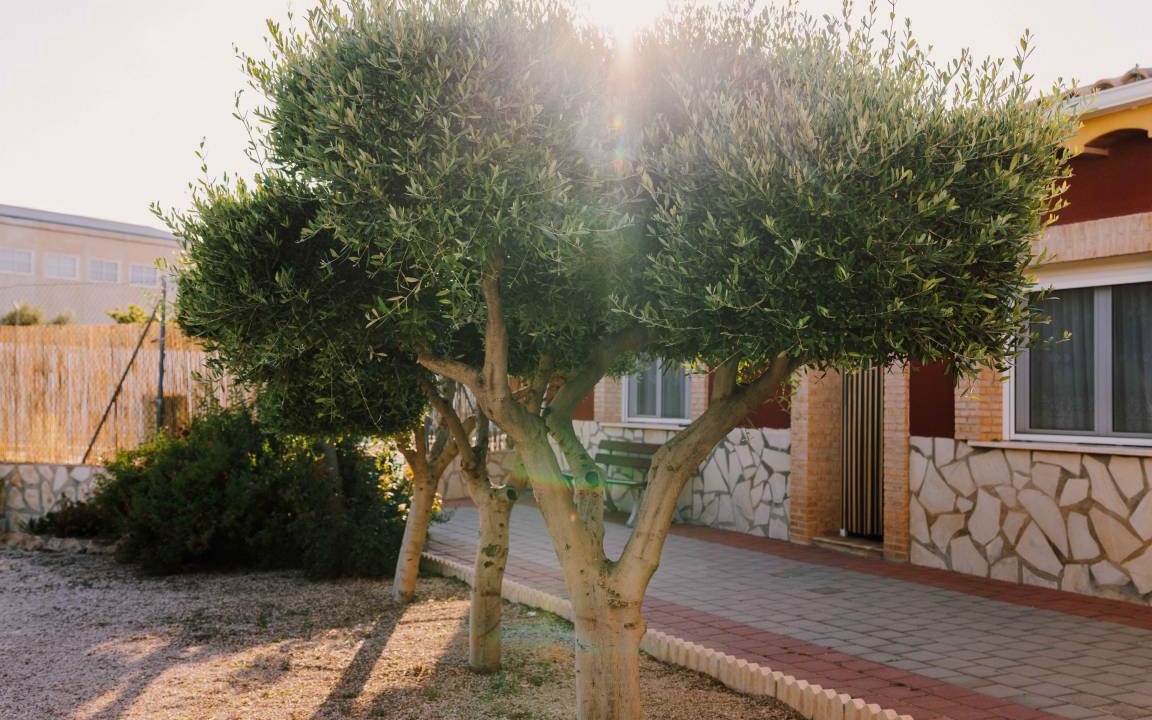 Photo of Others in Navares