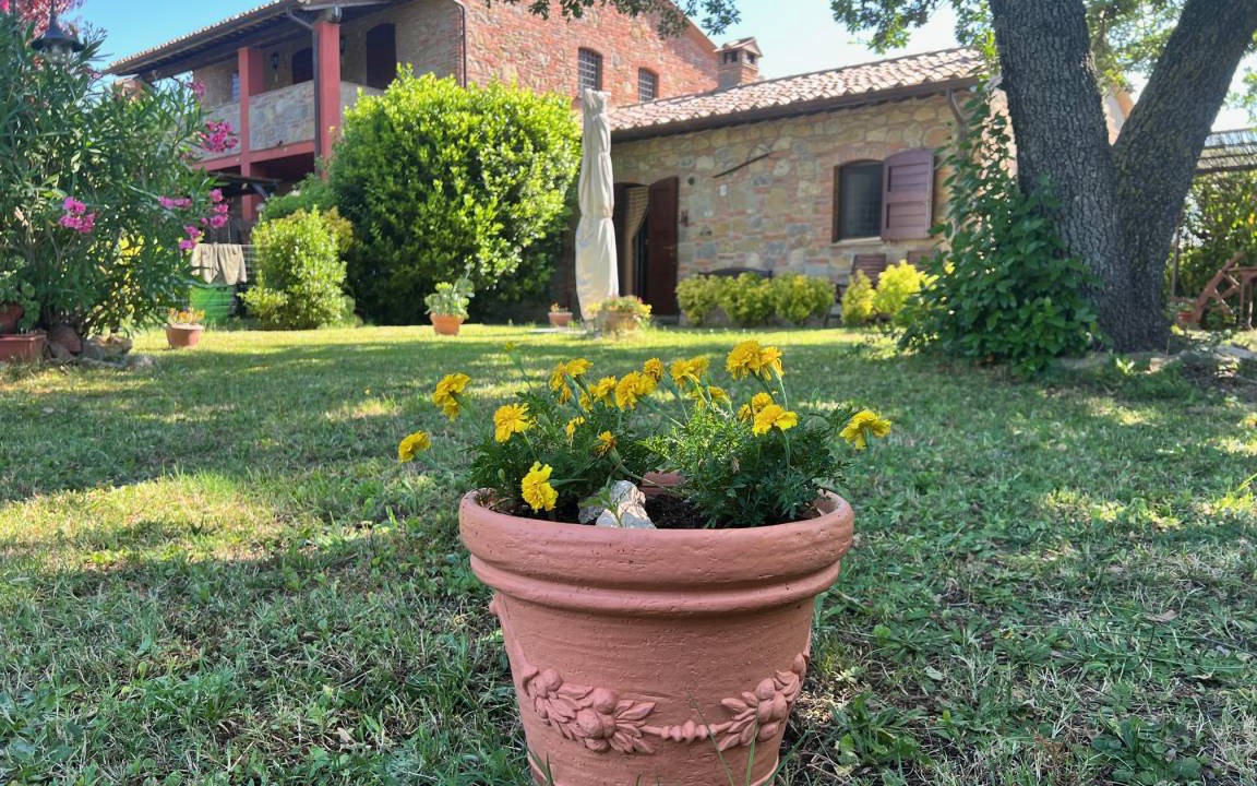 Photo of Others in Castiglione del Lago