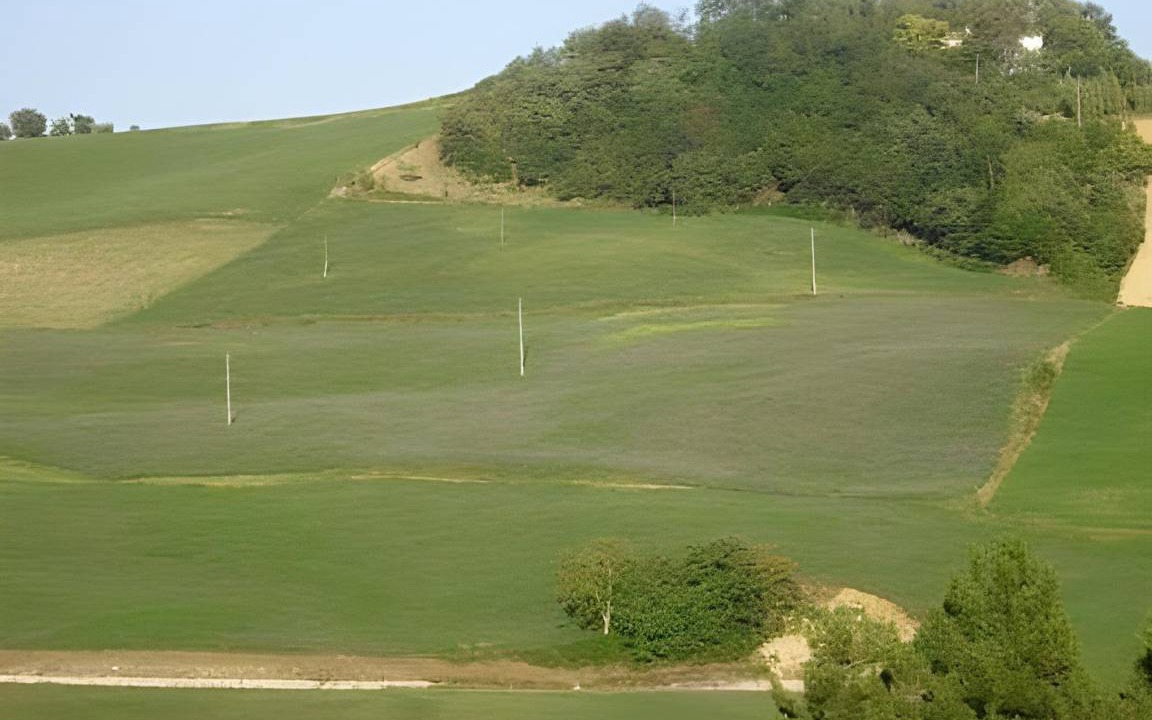 Photo of Others in Casalfiumanese