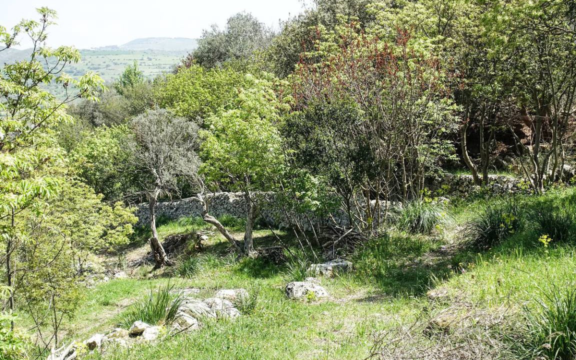 Photo of Others in Palazzolo Acreide