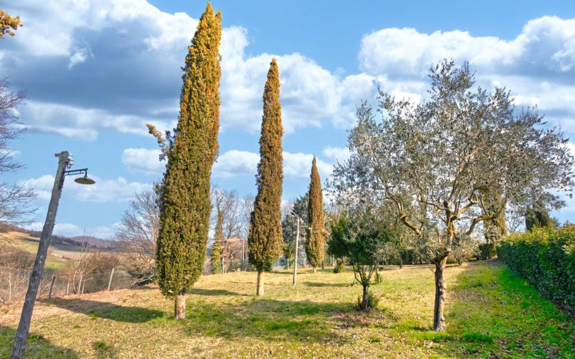 Photo of Others in Montalcinello