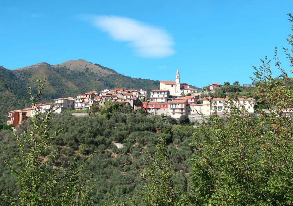 Photo of Others in Aurigo