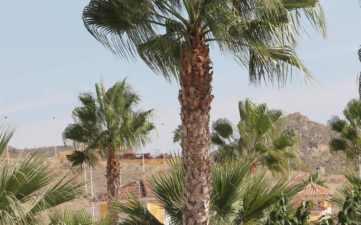 Photo of Others in Mazarron