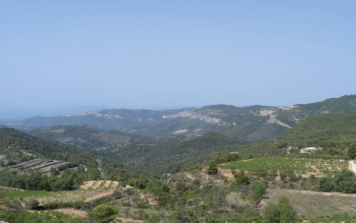 Photo of Others in La Morera de Montsant