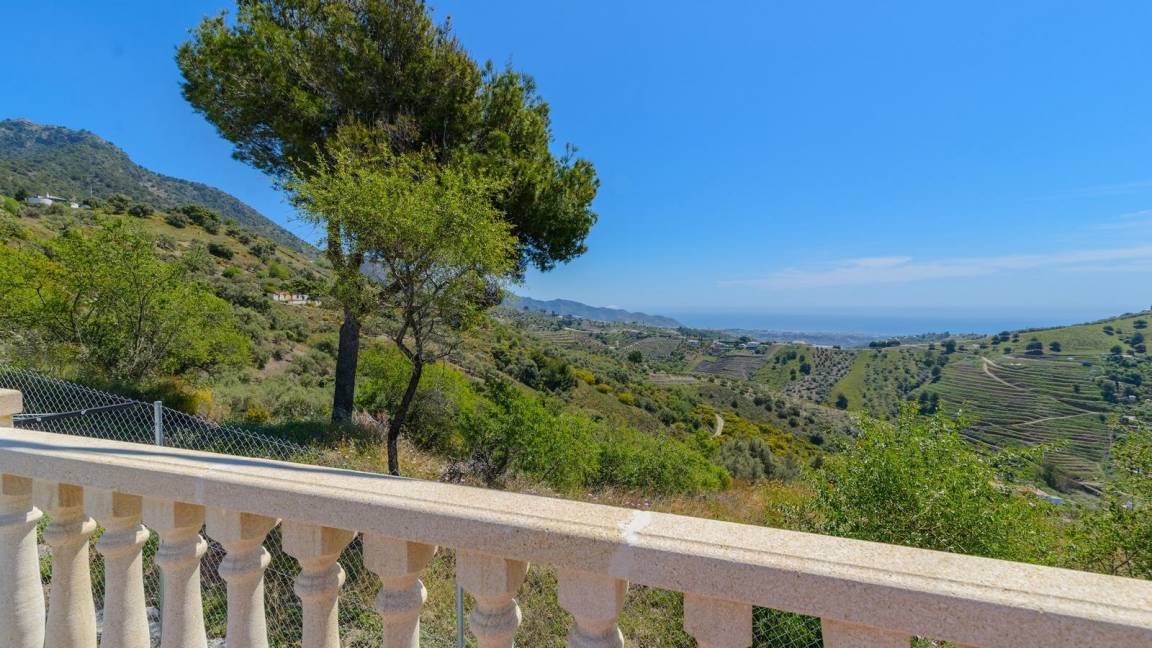 Photo of Others in Torrox
