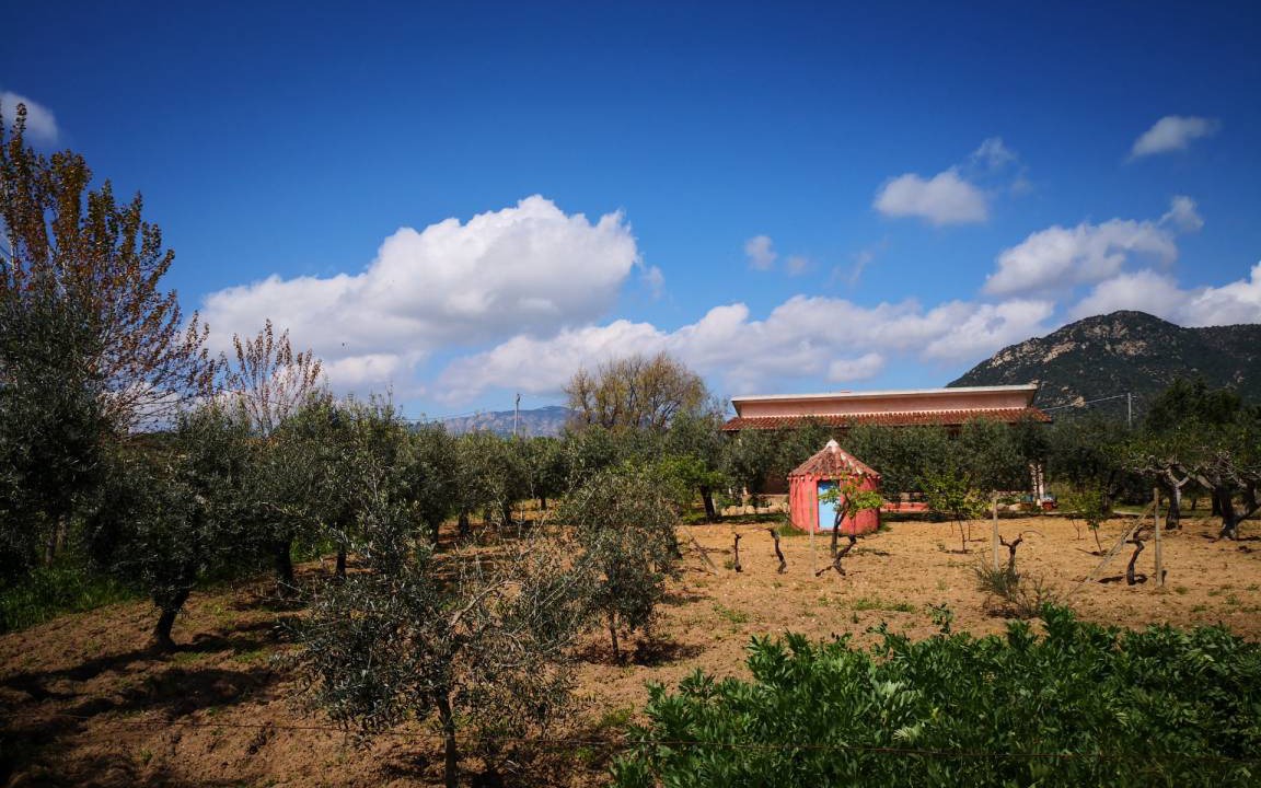Photo of Others in Oliena