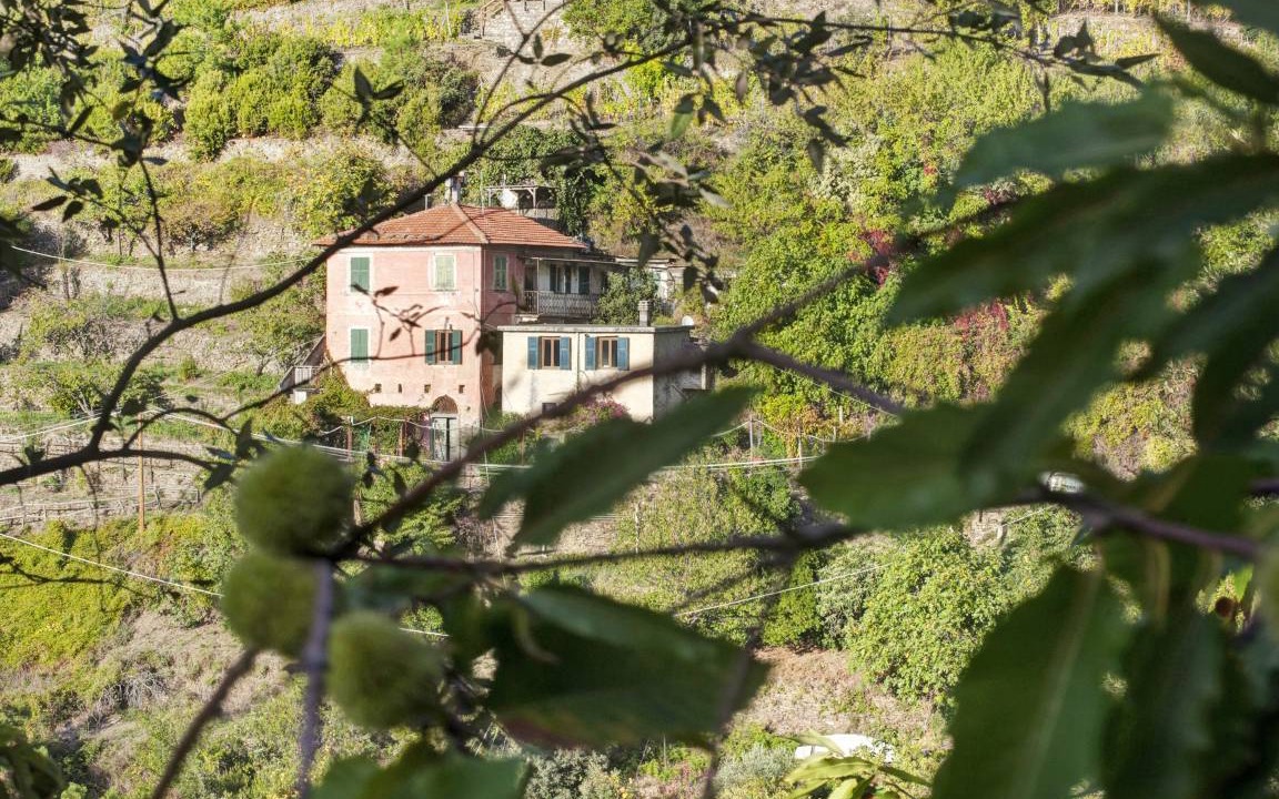 Photo of Others in Vernazza