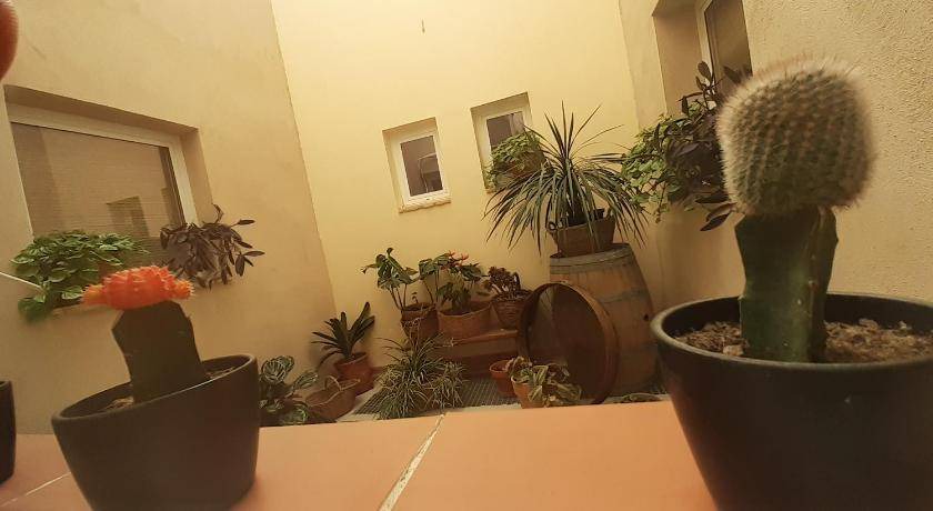 Photo of Others in Corbera d'Ebre