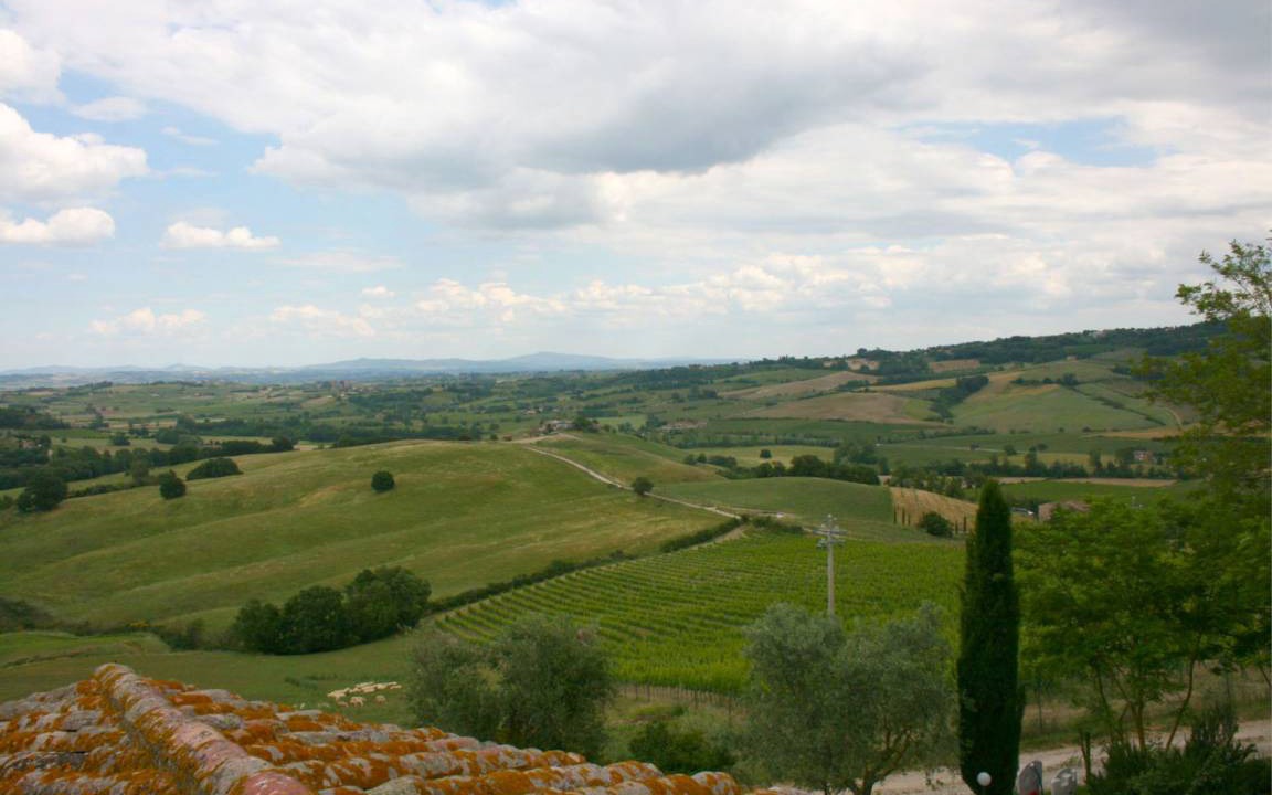 Photo of Others in Montepulciano