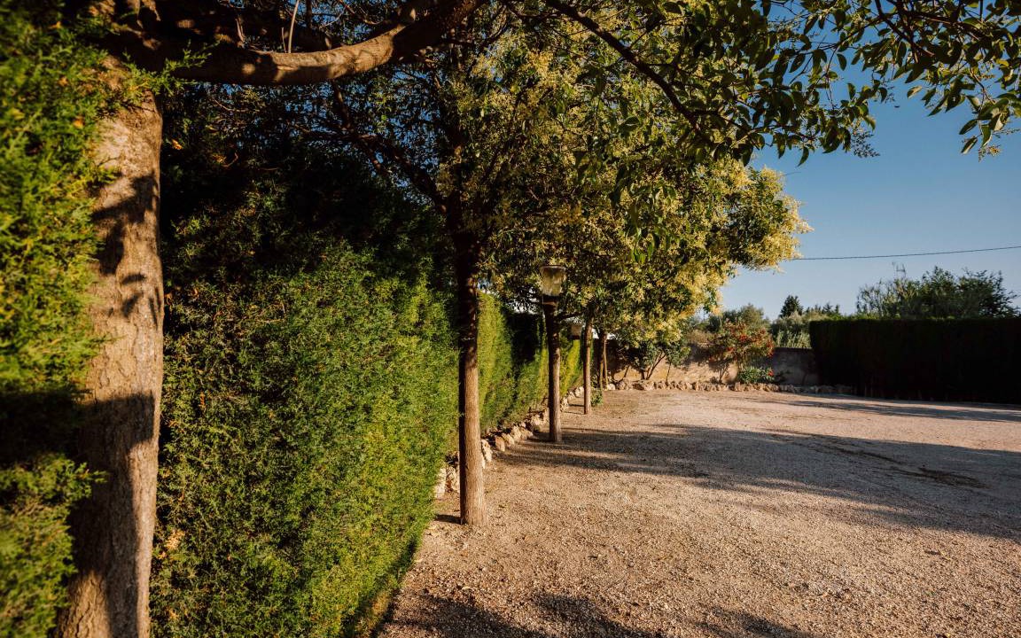 Photo of Others in Navares