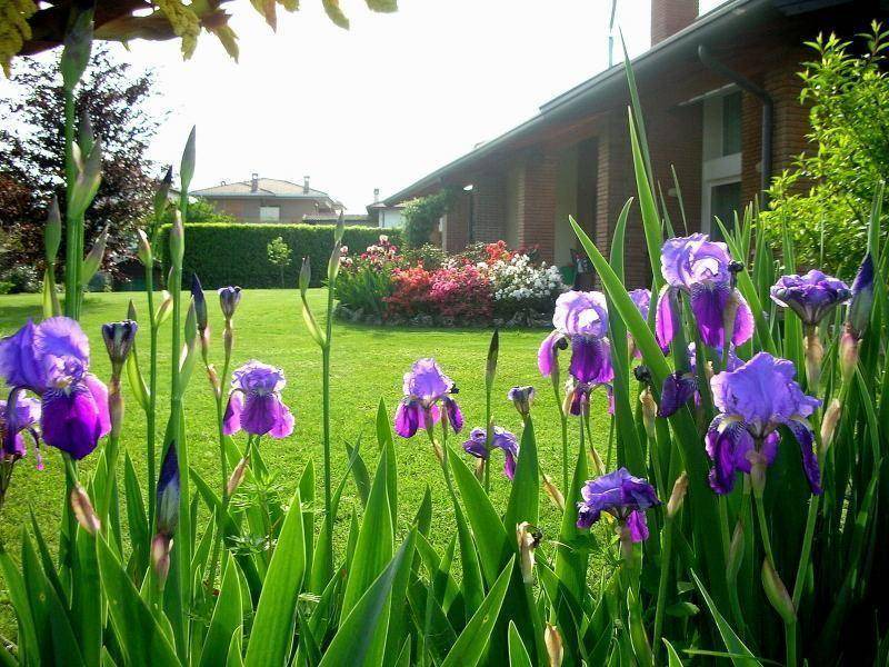 Photo of Outdoor in Borgo Ticino