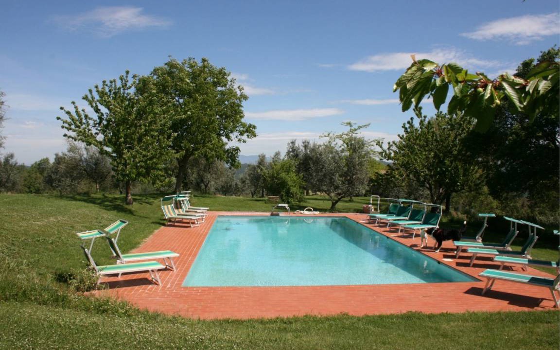 Photo of Others in Monte San Savino