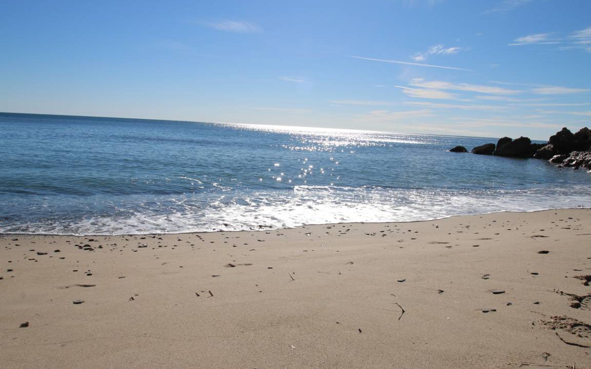 Photo of Others in Miami Platja