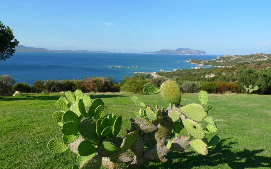 Photo of Others in Li Cuncheddi