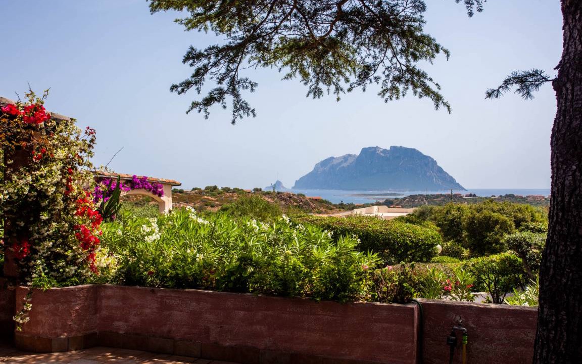 Photo of Others in Costa Corallina