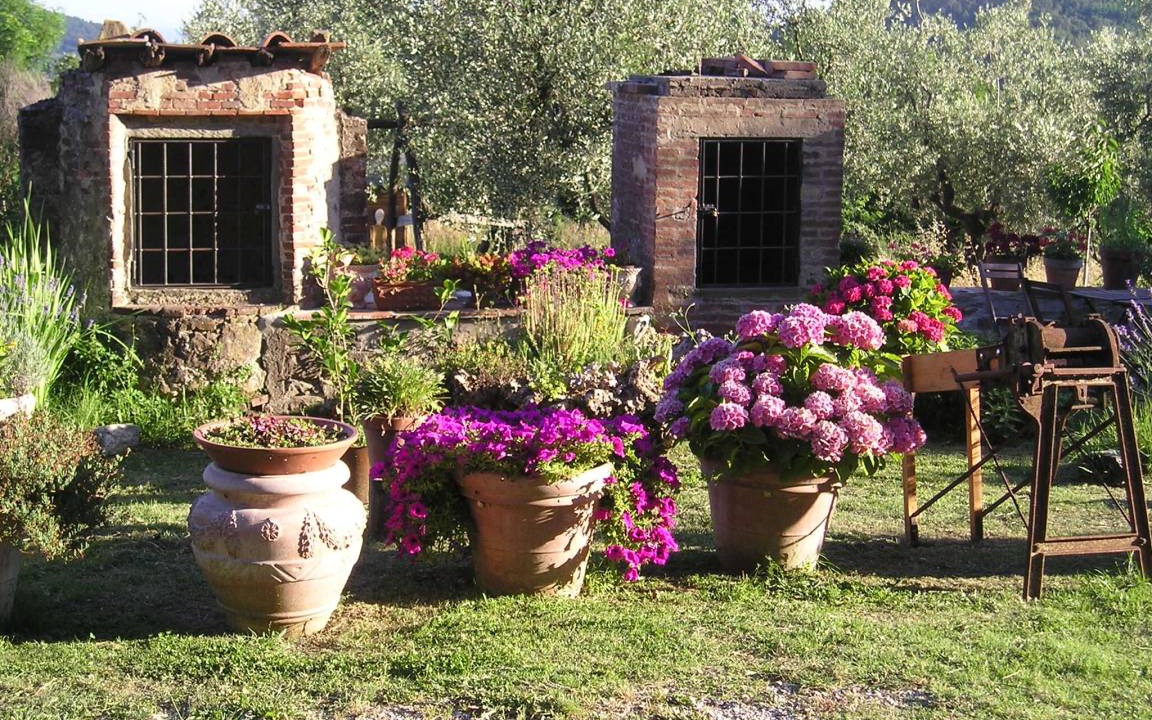 Photo of Others in Serravalle Pistoiese