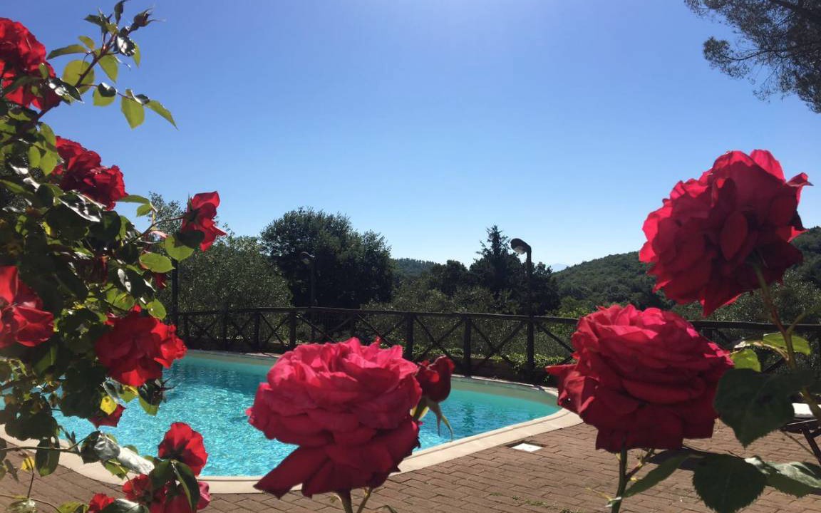 Photo of Others in Poggio