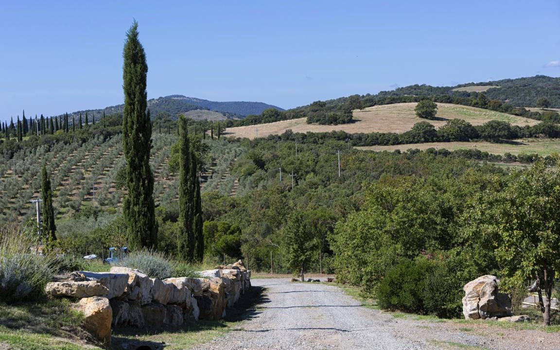 Photo of Others in Campagnatico