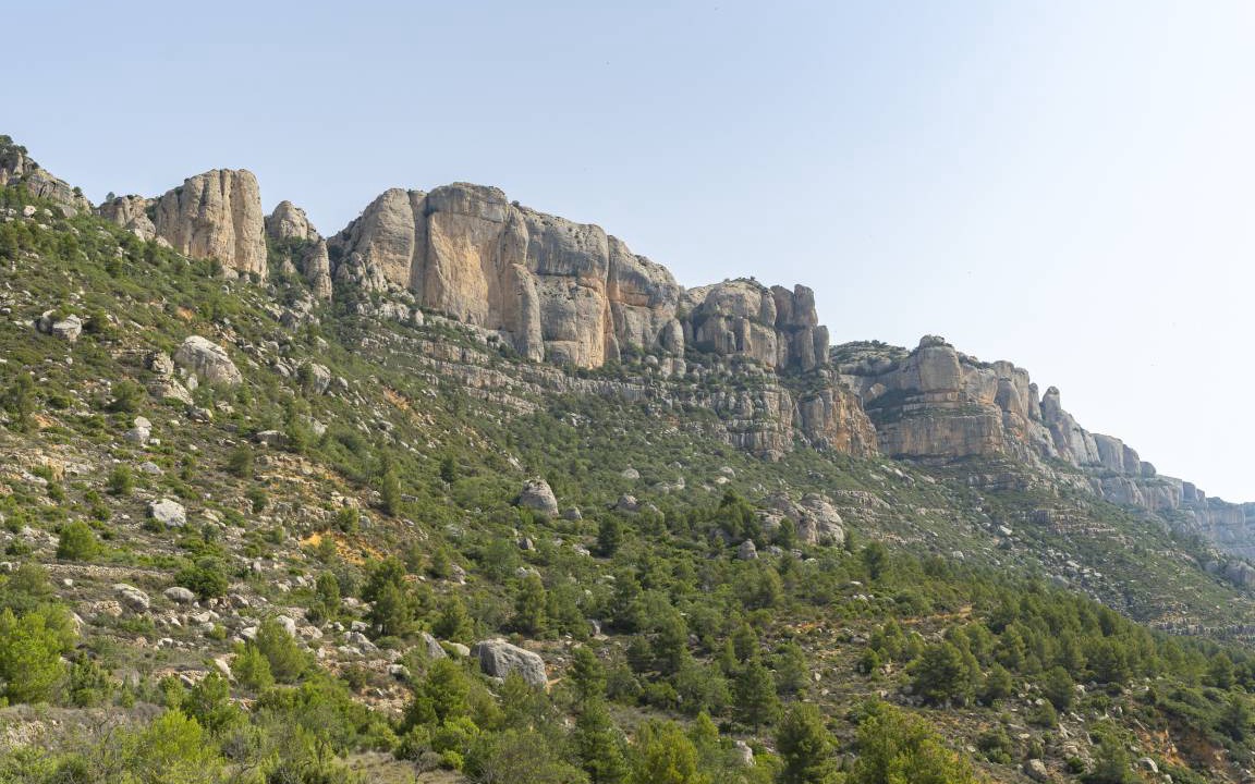 Photo of Others in La Morera de Montsant