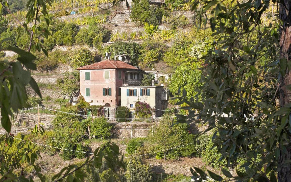 Photo of Others in Vernazza