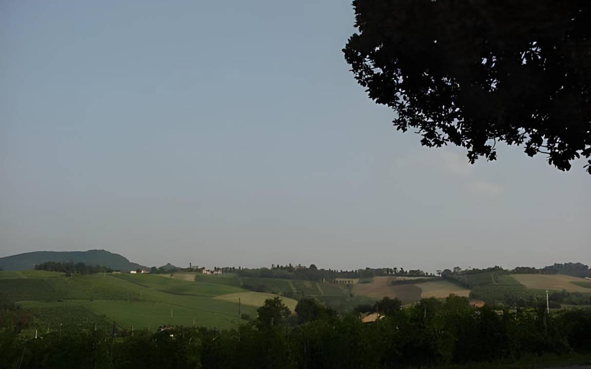 Photo of Others in Savignano sul Panaro