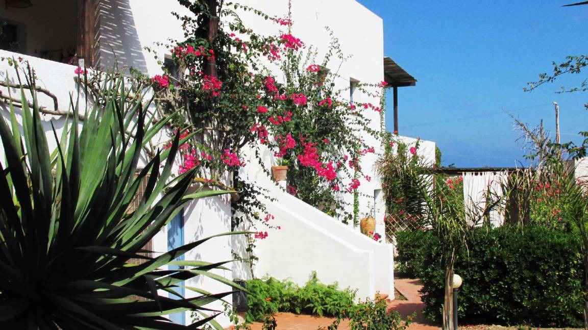 Photo of Others in Pantelleria
