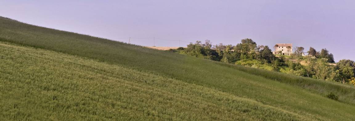 Photo of Others in Treia