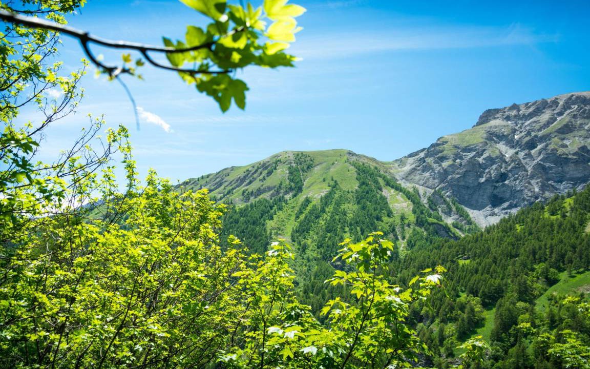 Photo of Others in Bardonecchia