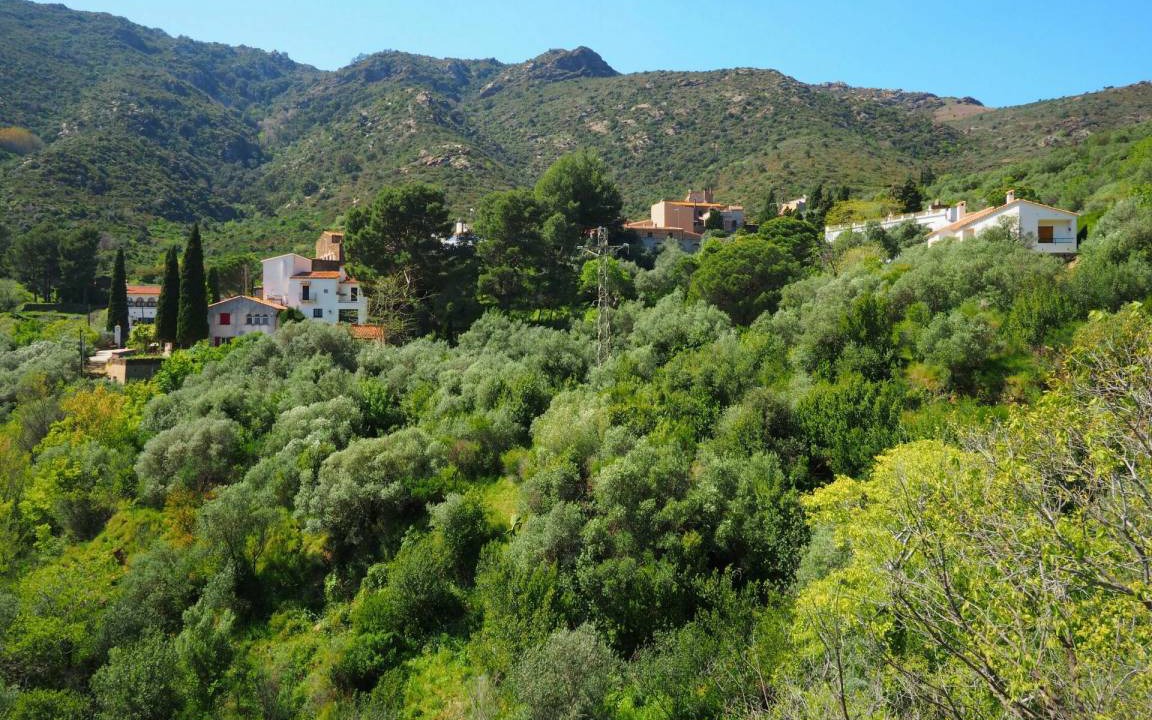 Photo of Others in La Vall de Santa Creu