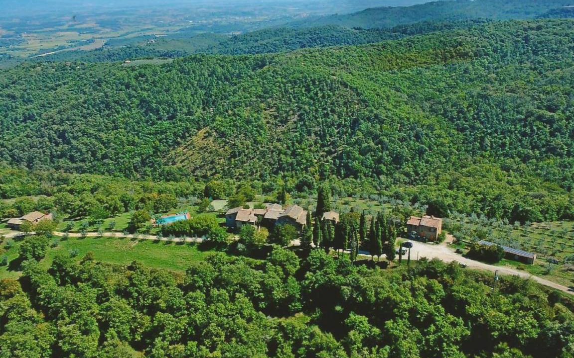 Photo of Others in Monte San Savino
