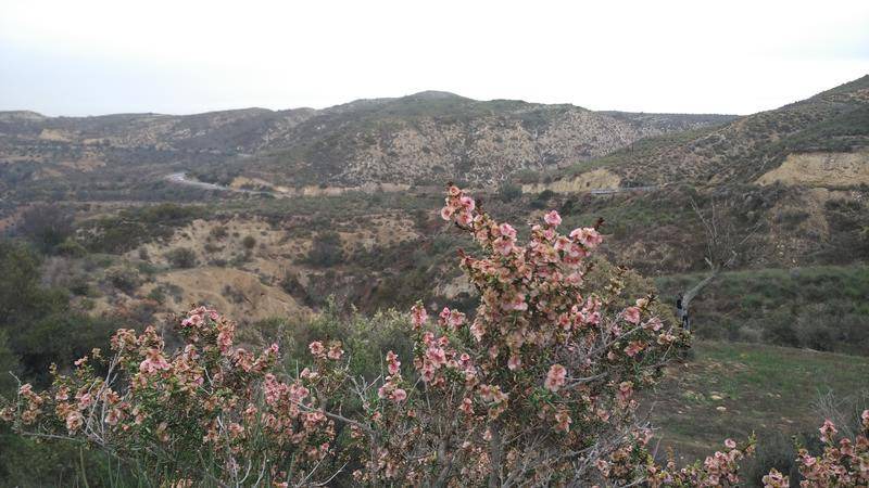 Photo of Others in Sorbas