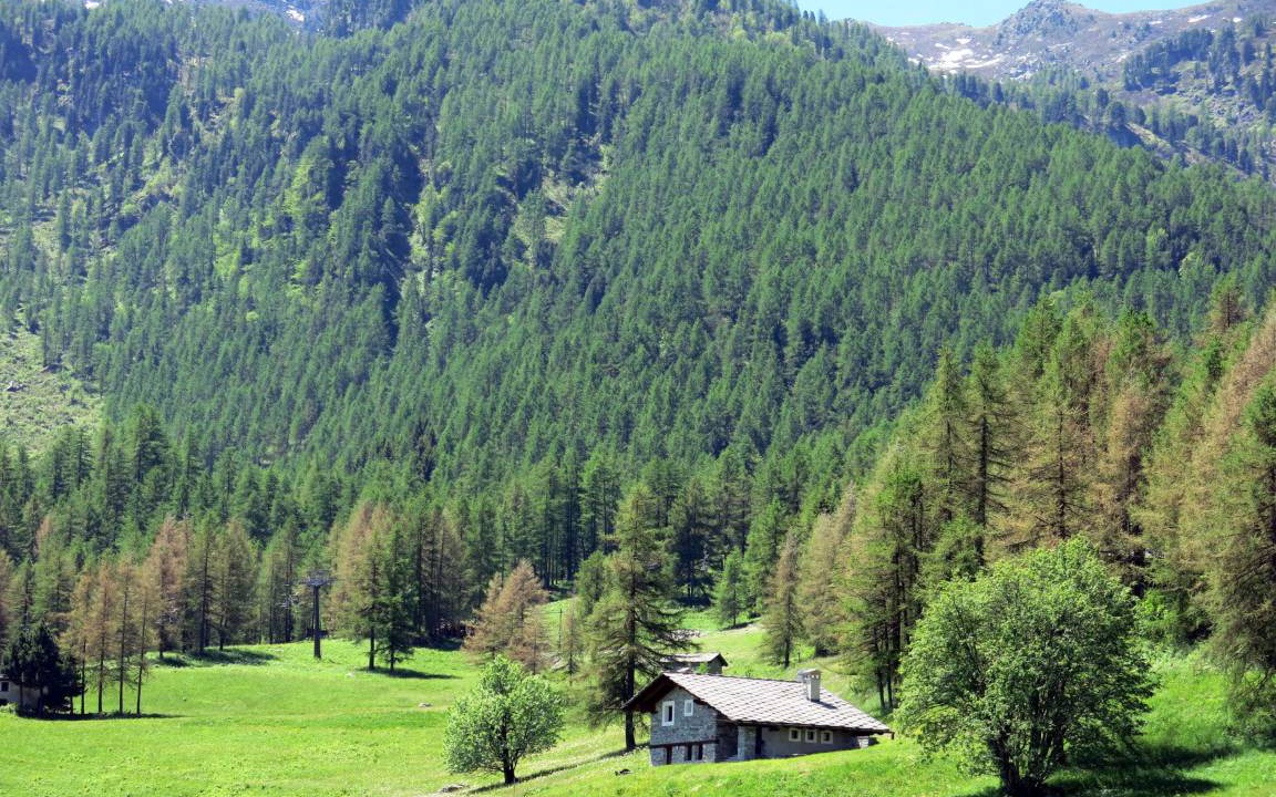 Photo of Others in Sampeyre