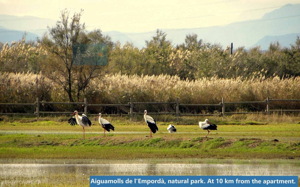 Photo of Others in Santa Margarida