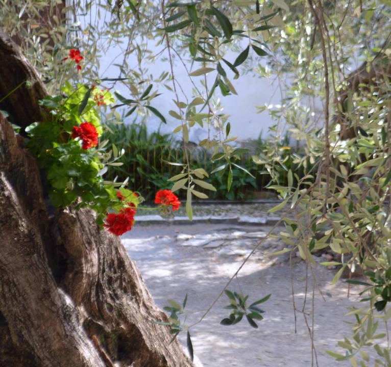 Photo of Others in Diano San Pietro