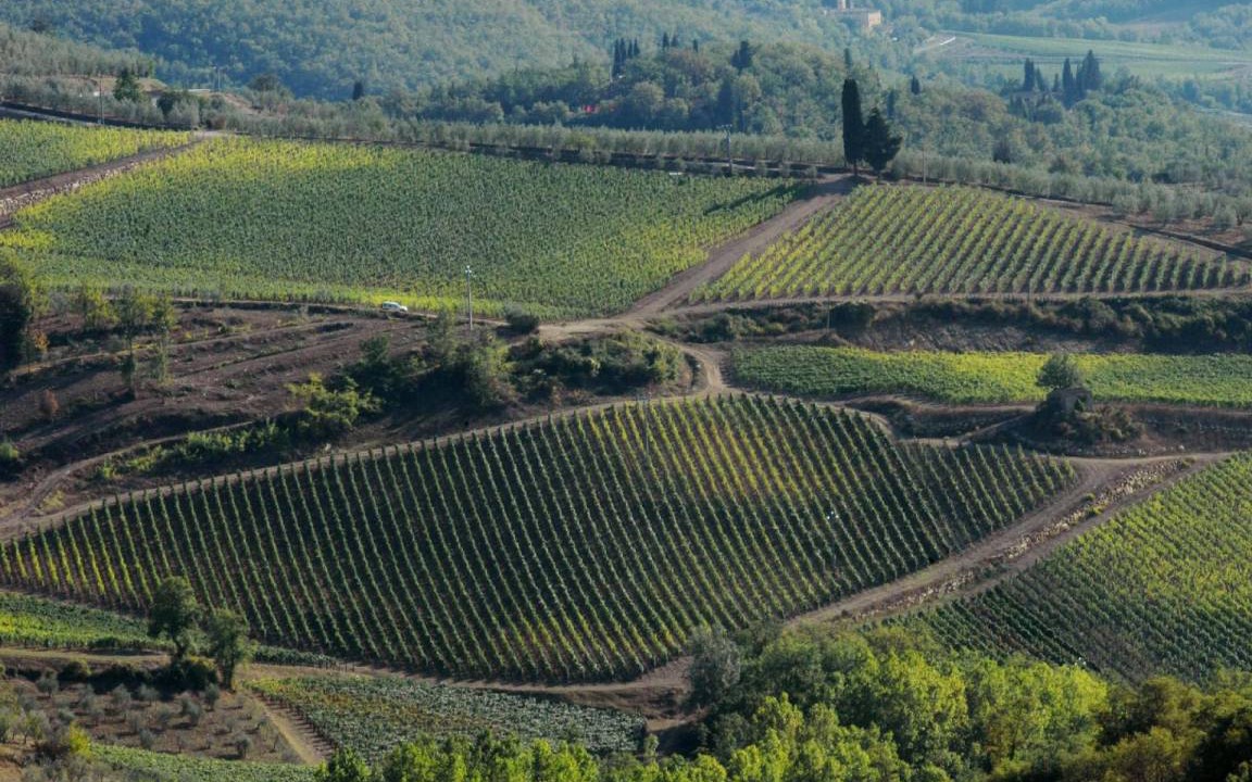 Photo of Others in Figline e Incisa Valdarno