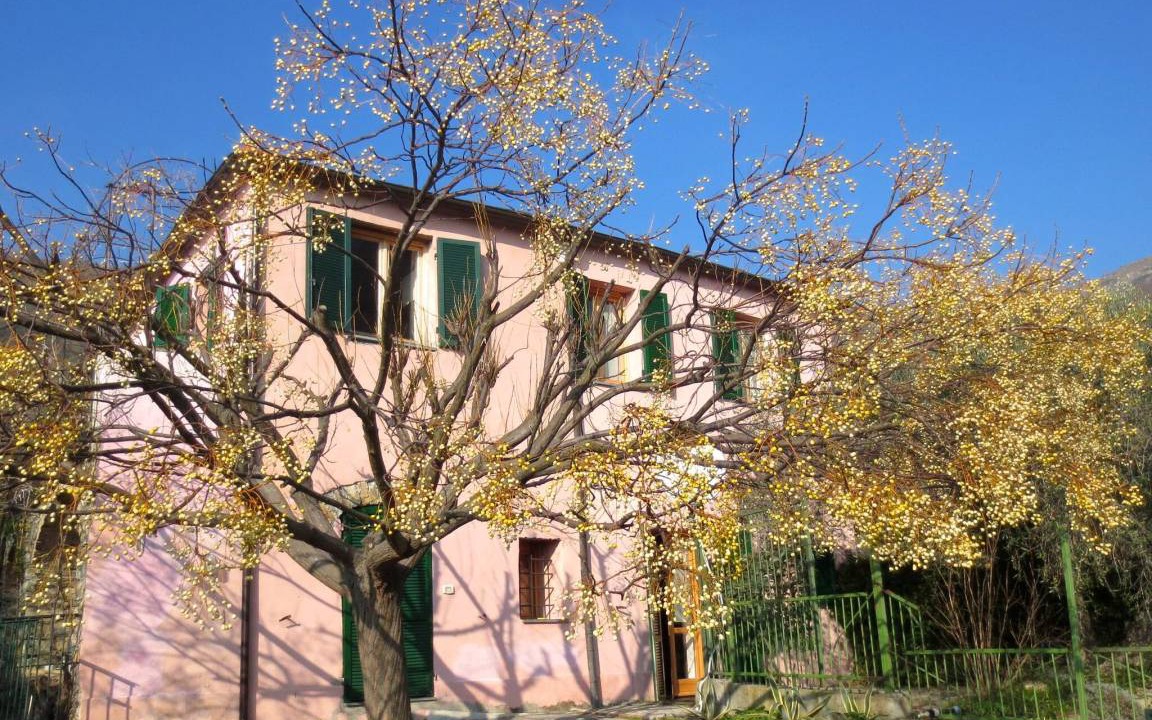 Photo of Others in Gazzelli